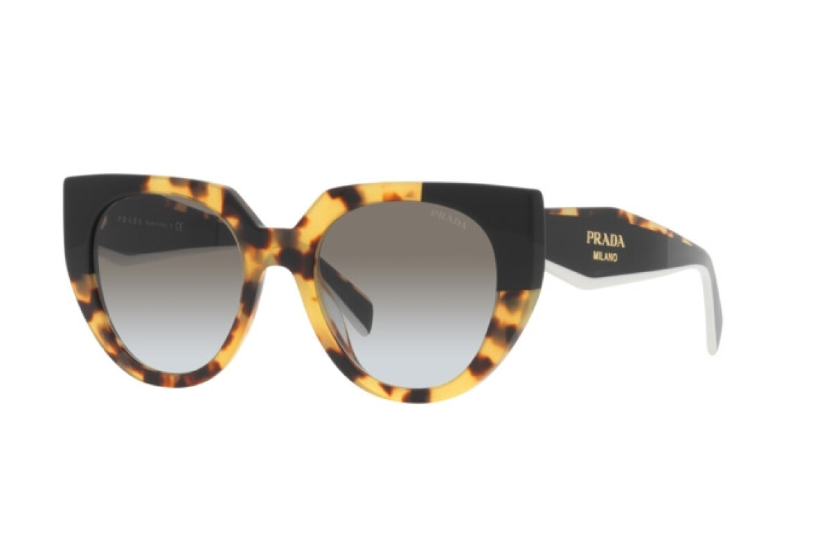 Sunglasses Woman Prada  PR 14WS 3890A7