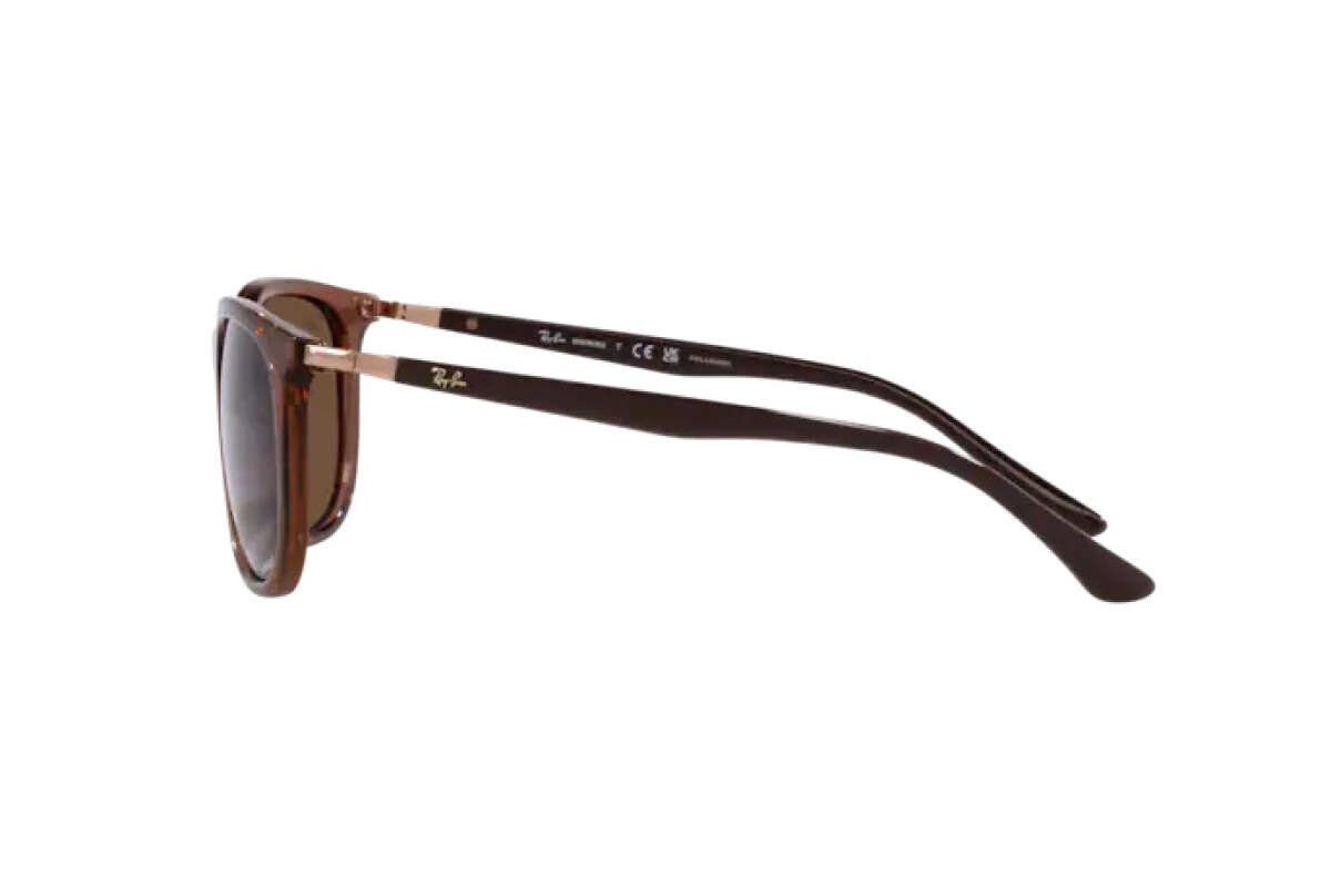 Occhiali da sole Unisex Ray-Ban  RB 4386 6652AN