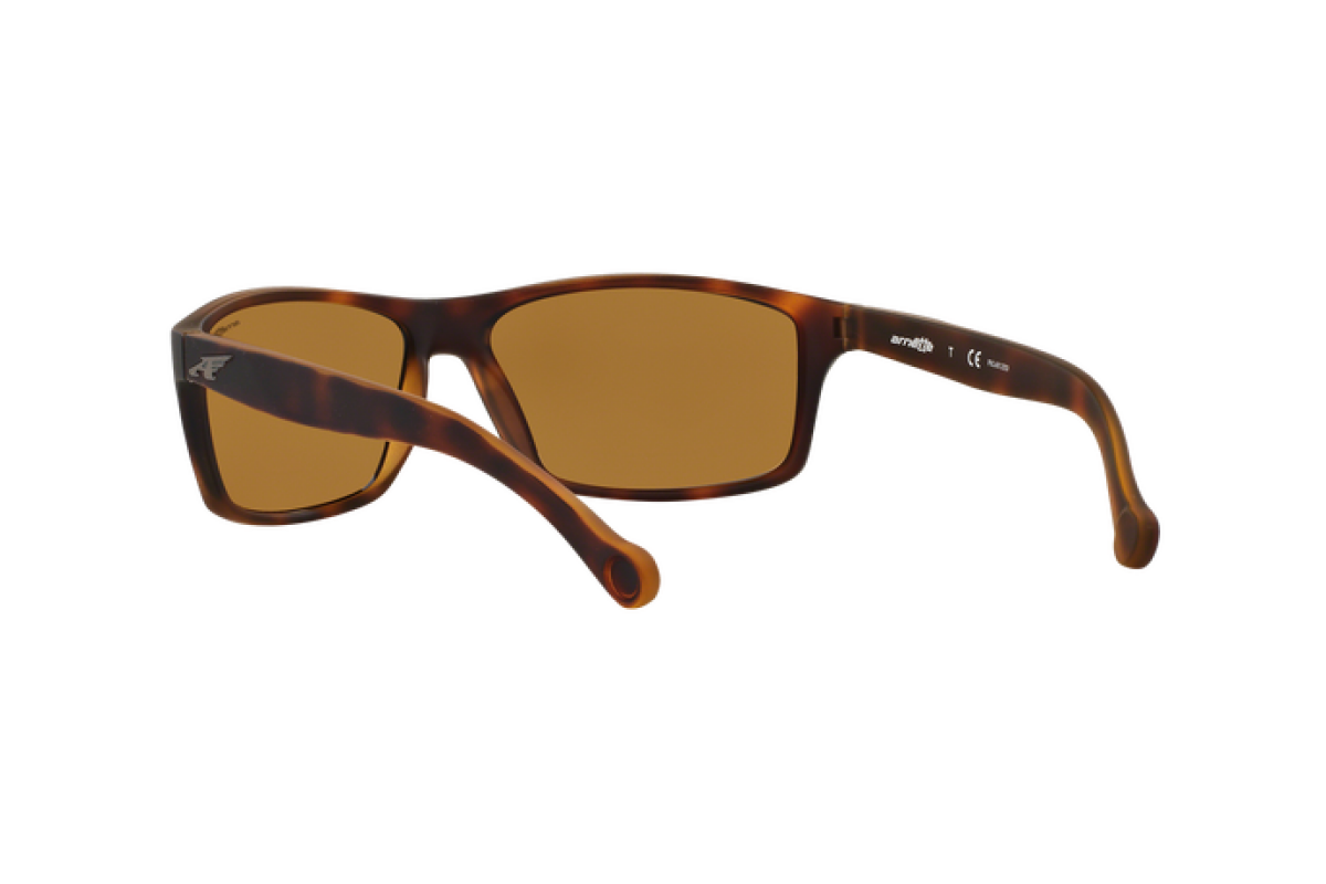 Occhiali da sole Uomo Arnette  AN 4207 215283