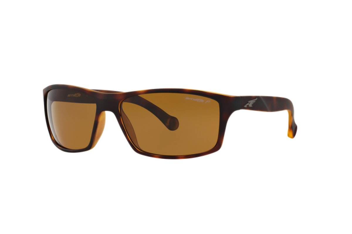 Occhiali da sole Uomo Arnette  AN 4207 215283