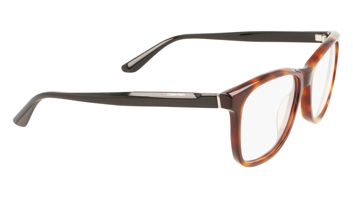 Eyeglasses Man Calvin Klein  CK22507 220