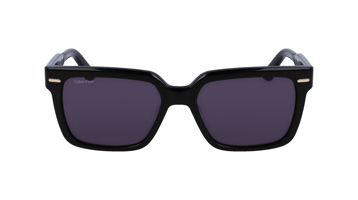 Sunglasses Man Calvin Klein  CK22535S 001