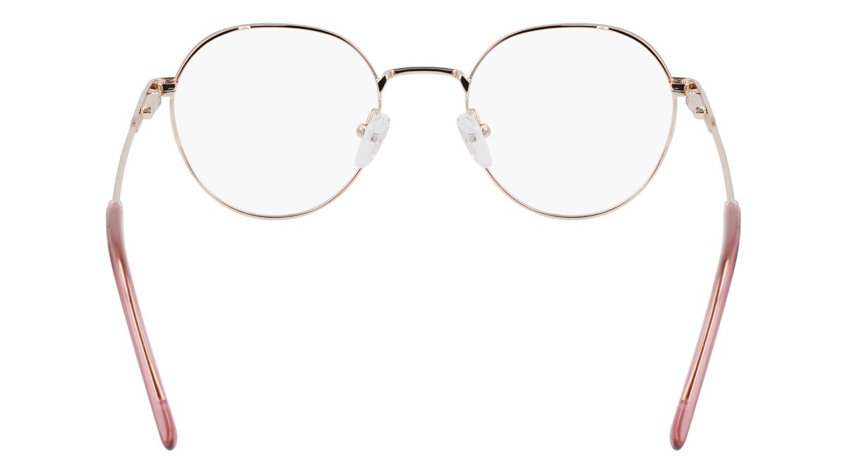 Eyeglasses Woman DKNY  DK1032 717