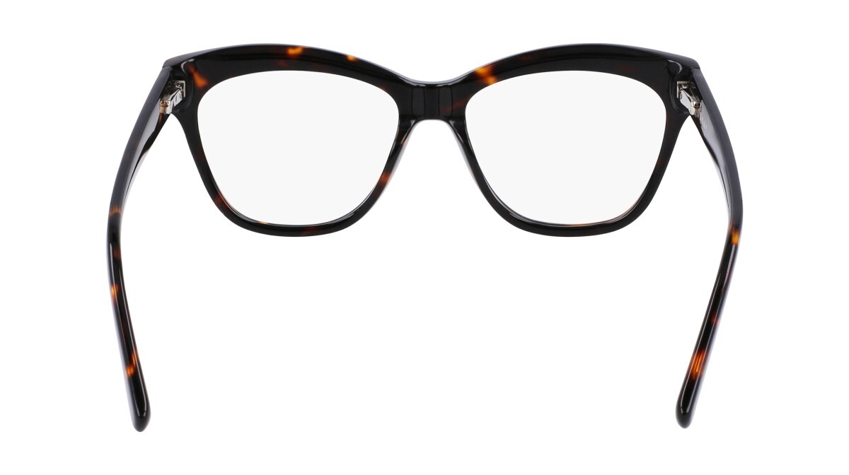 Eyeglasses Woman DKNY  DK5049 237