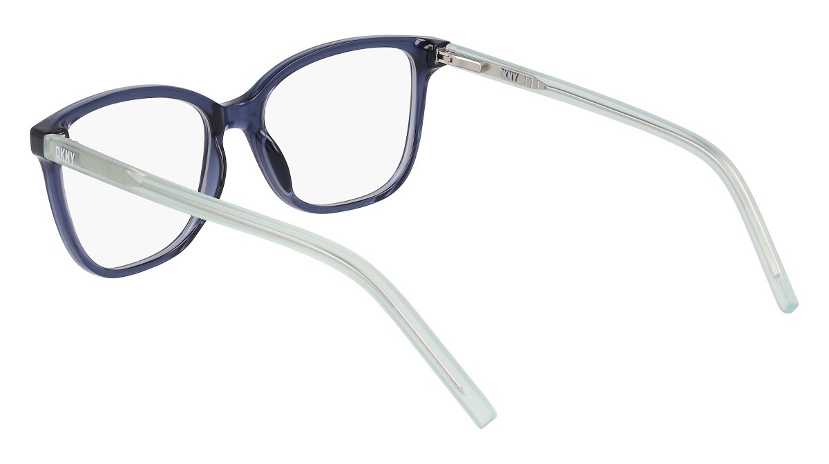 Eyeglasses Woman DKNY  DK5052 400