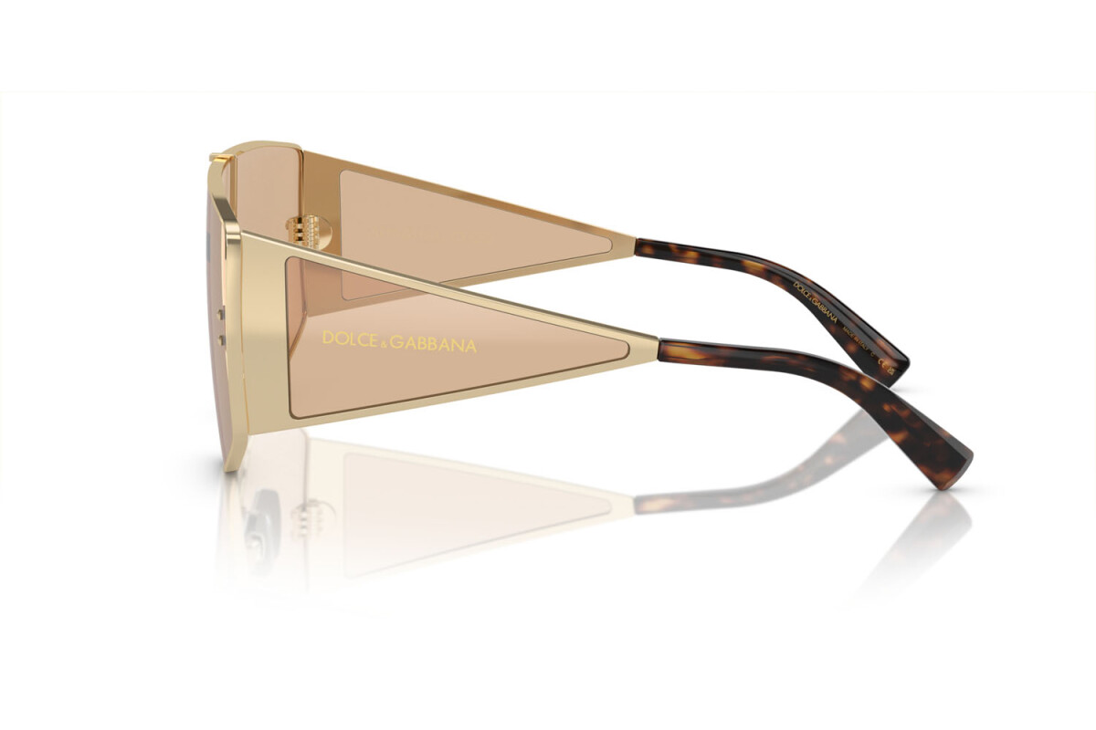Sunglasses Man Dolce & Gabbana  DG 2305 13655A