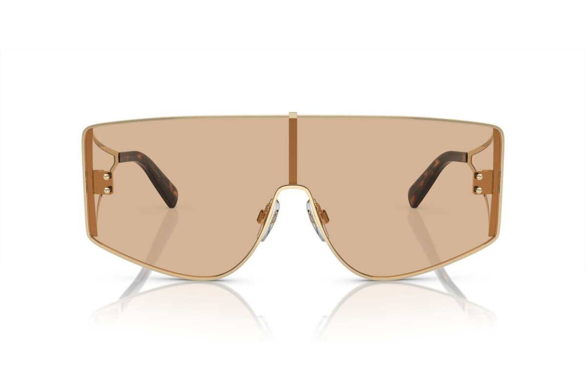 Sunglasses Man Dolce & Gabbana  DG 2305 13655A