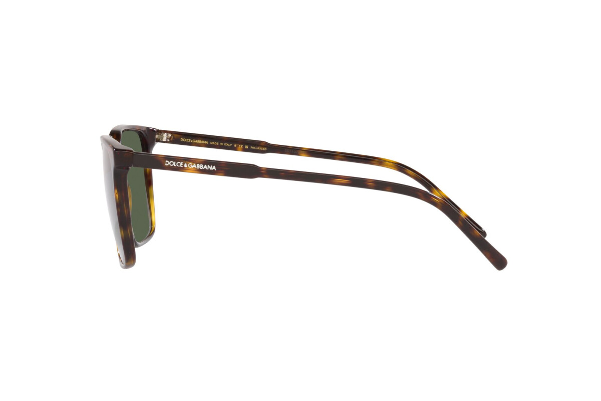 Sunglasses Man Dolce & Gabbana  DG 4424 502/9A