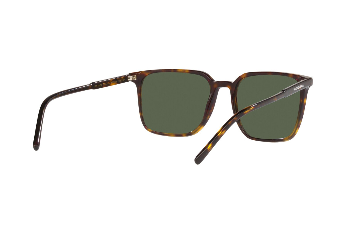 Sunglasses Man Dolce & Gabbana  DG 4424 502/9A