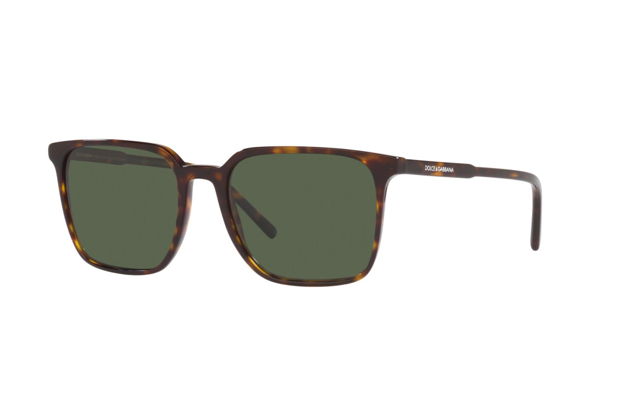 Sunglasses Man Dolce & Gabbana  DG 4424 502/9A