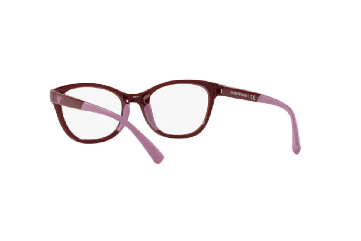Brillen Junior (für kind) Emporio Armani  EA 3204 5077