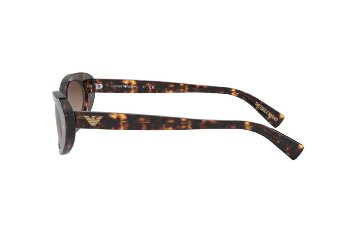 Sunglasses Woman Emporio Armani  EA 4143 508913