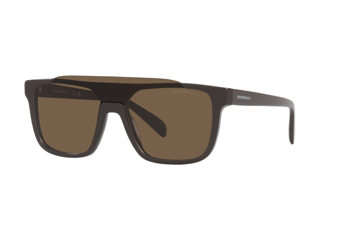 Lunettes de soleil Homme Emporio Armani  EA 4193 519773