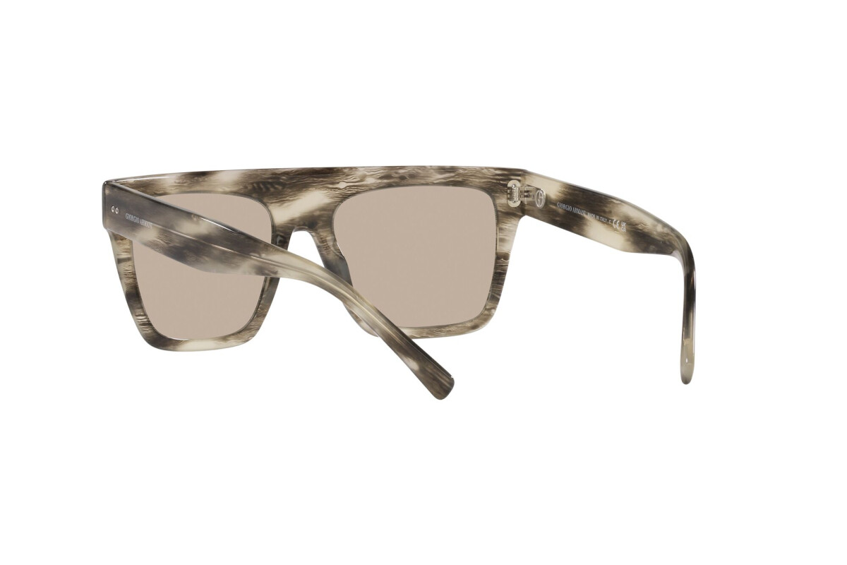 Sunglasses Unisex Giorgio Armani  AR 8177 5922/3