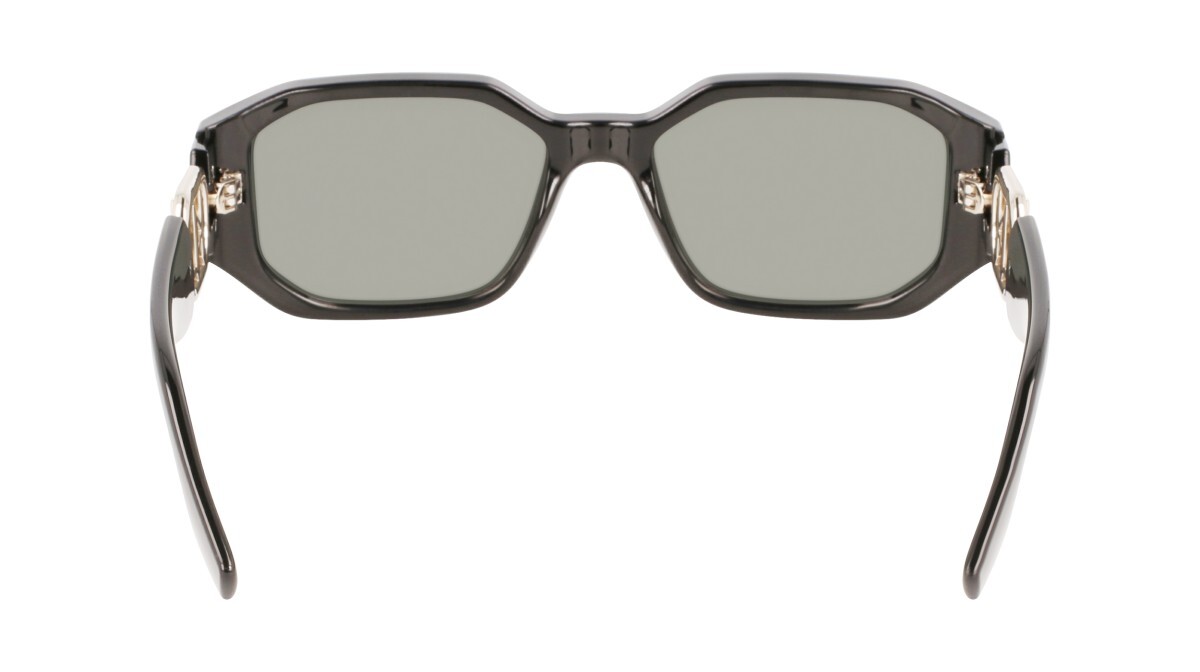 Sunglasses Woman Karl Lagerfeld  KL6085S 001