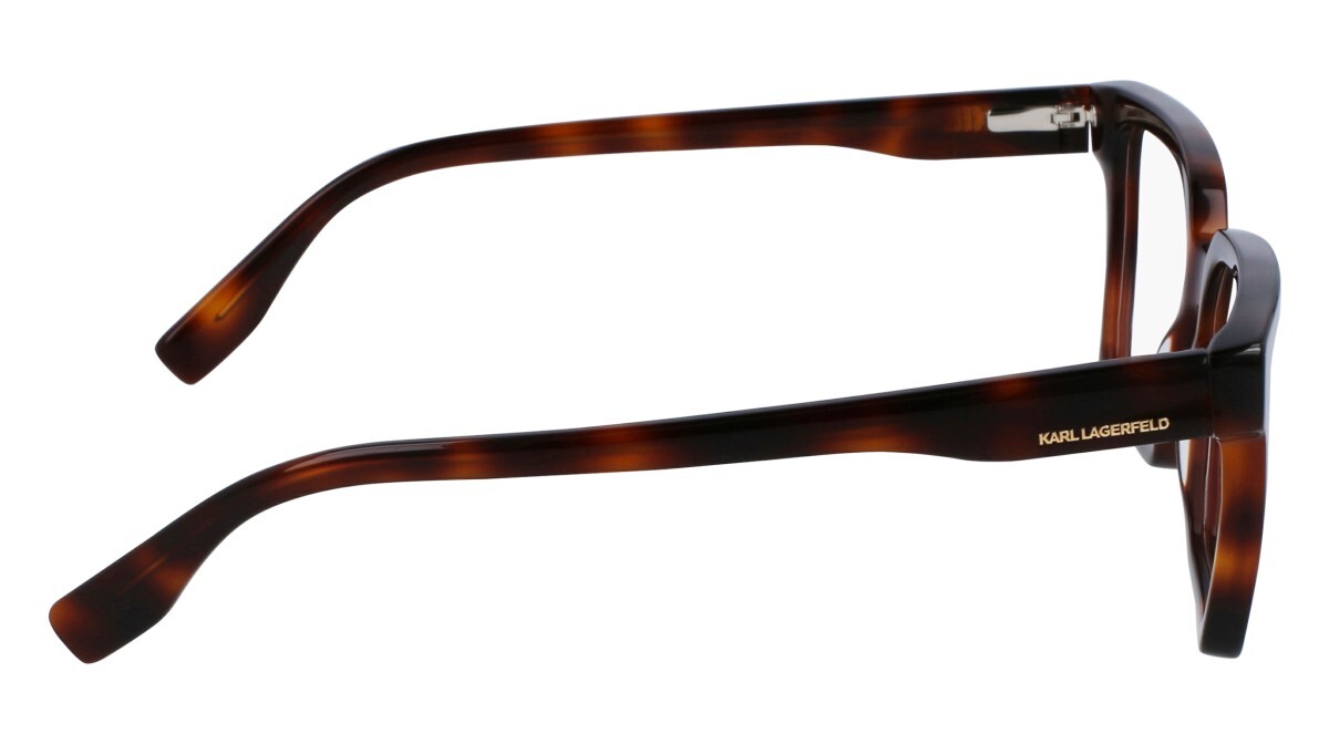 Eyeglasses Man Karl Lagerfeld  KL6097 240