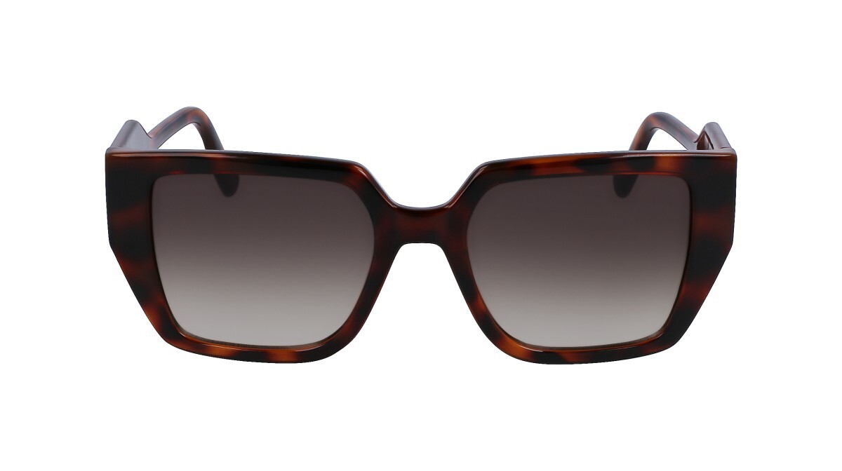Sunglasses Woman Karl Lagerfeld  KL6098S 240