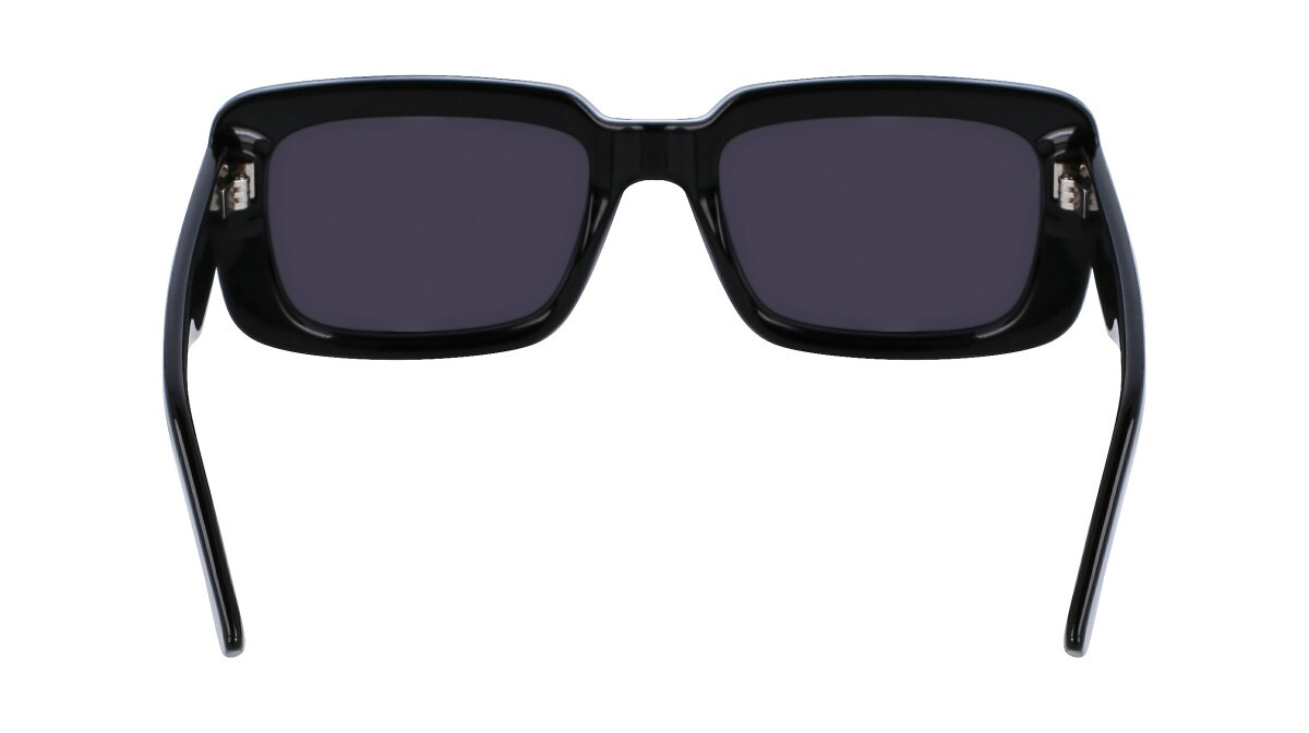 Sonnenbrillen Unisex Karl Lagerfeld  KL6101S 001