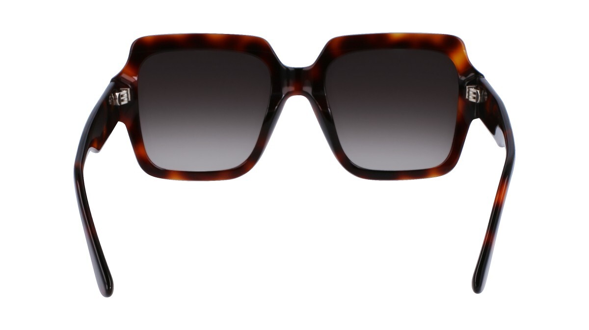 Zonnebrillen Vrouw Karl Lagerfeld  KL6104SR 240