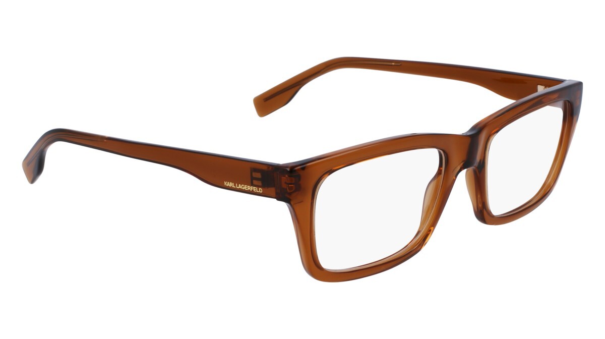Eyeglasses Man Karl Lagerfeld  KL6138 200