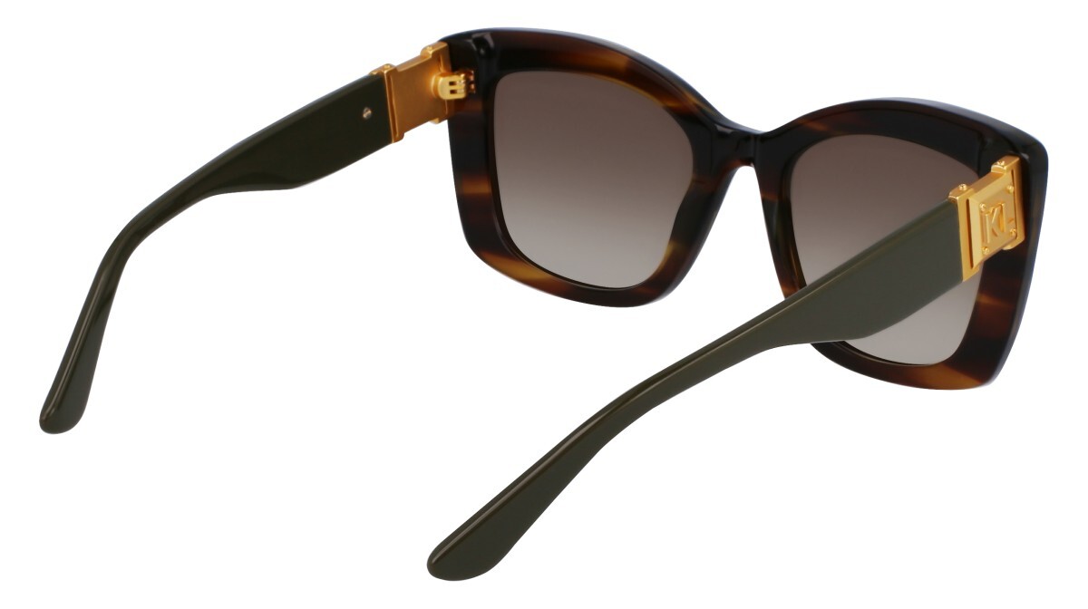Sunglasses Woman Karl Lagerfeld  KL6139S 212