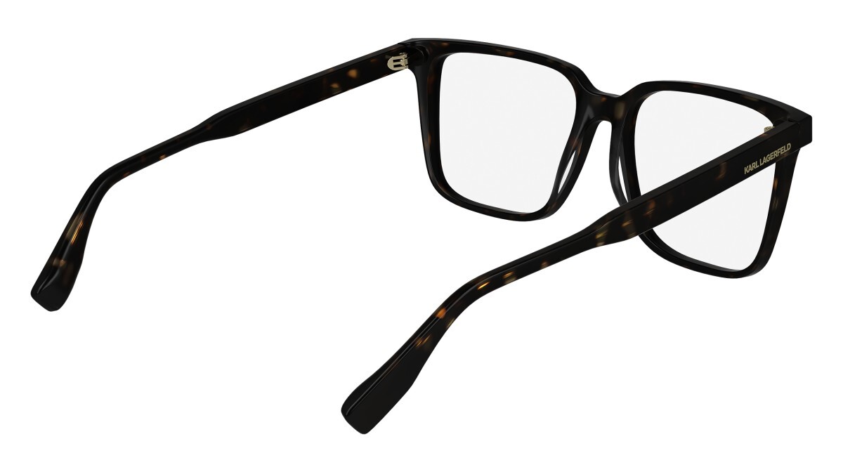 Eyeglasses Man Karl Lagerfeld  KL6157 242