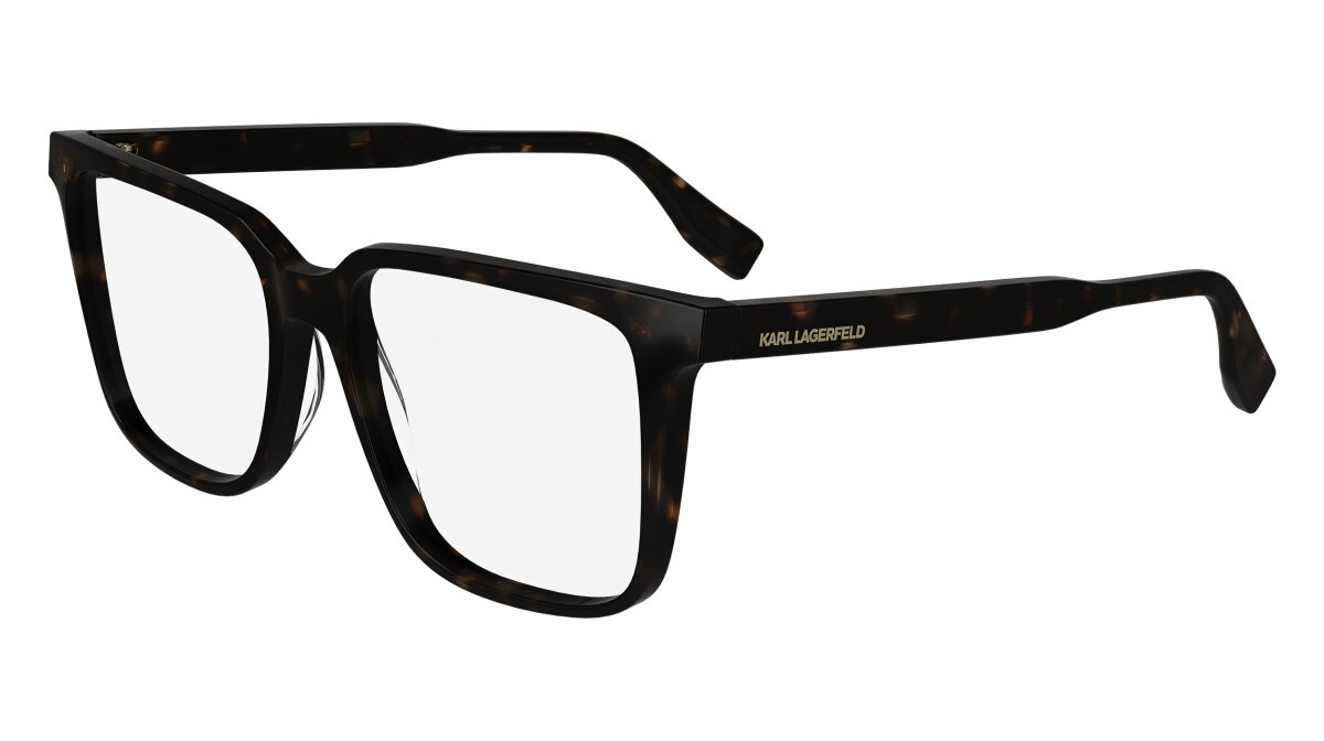 Eyeglasses Man Karl Lagerfeld  KL6157 242