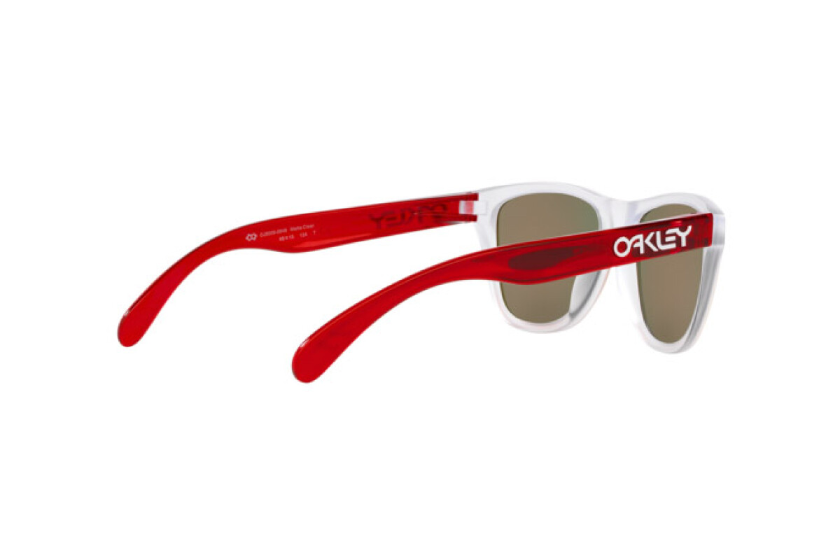 Zonnebrillen Junior (voor kind) Oakley Frogskins XXS Junior OJ 9009 900908