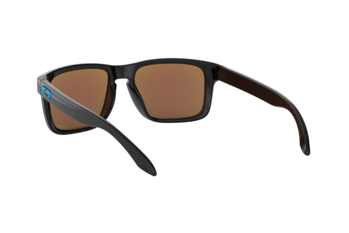 Lunettes de soleil Homme Oakley Holbrook OO 9102 9102F5