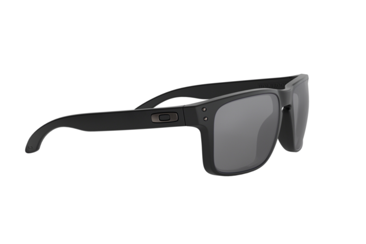 Occhiali da sole Uomo Oakley Holbrook OO 9244 924425