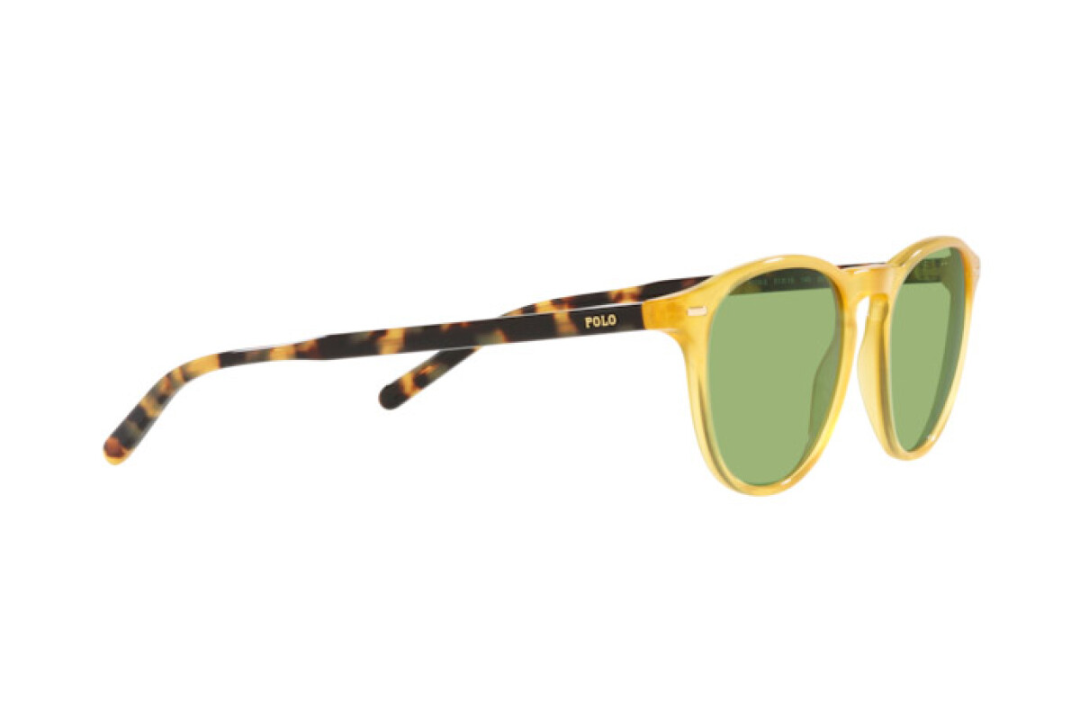 Lunettes de soleil Homme Polo Ralph Lauren  PH 4181 5005/2