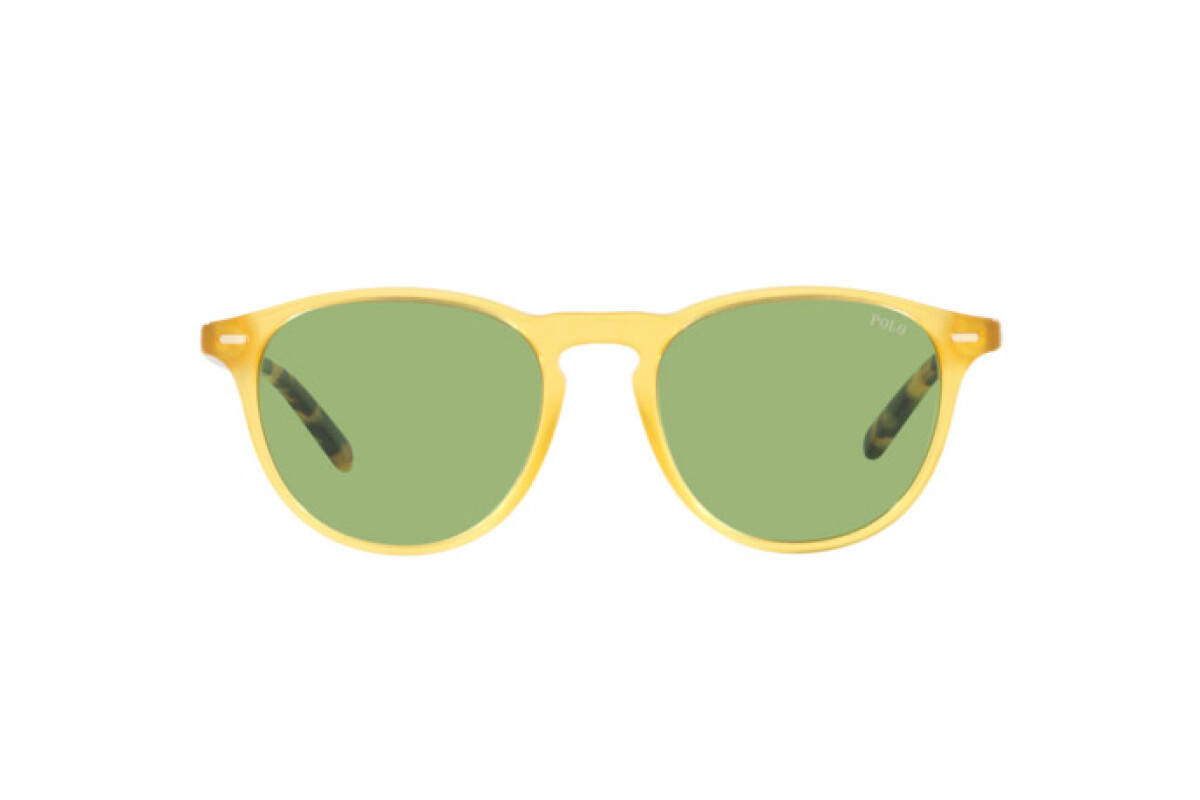 Sunglasses Man Polo Ralph Lauren  PH 4181 5005/2