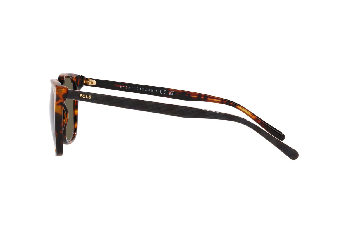 Lunettes de soleil Homme Polo Ralph Lauren  PH 4187 5309/3