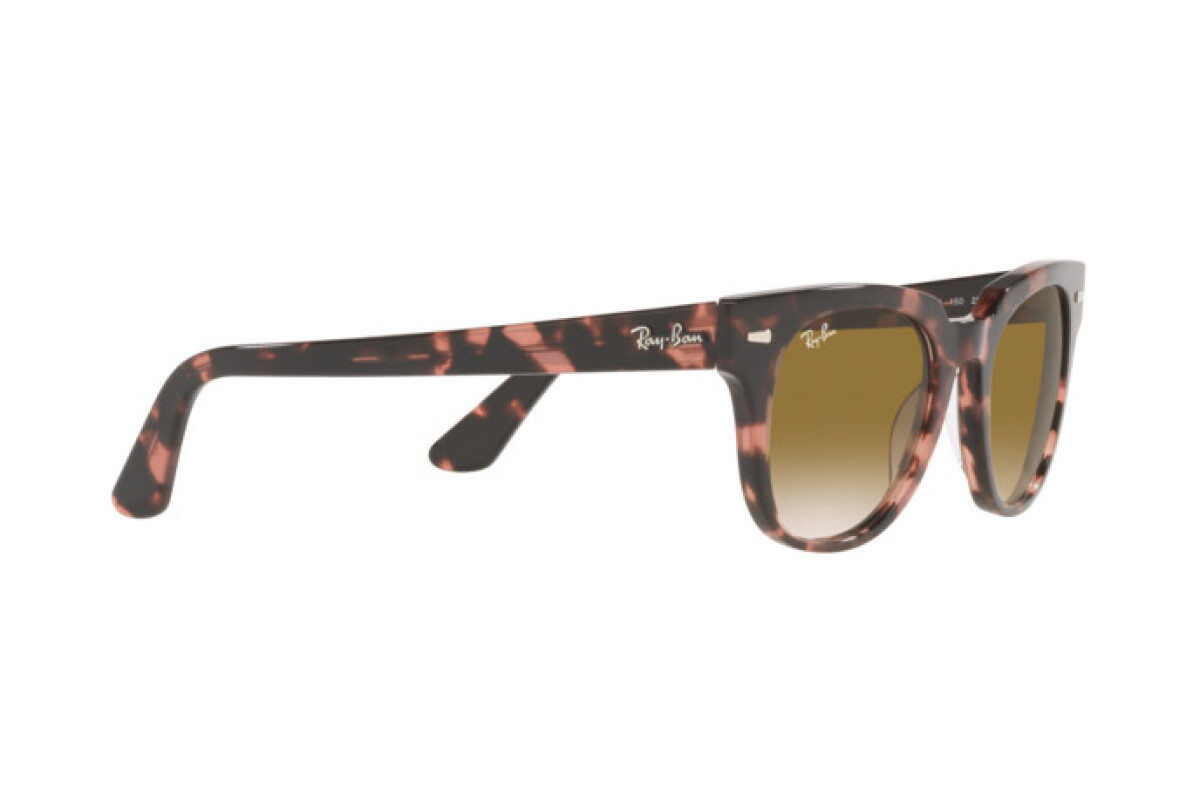 Occhiali da sole Unisex Ray-Ban Meteor RB 2168 133451