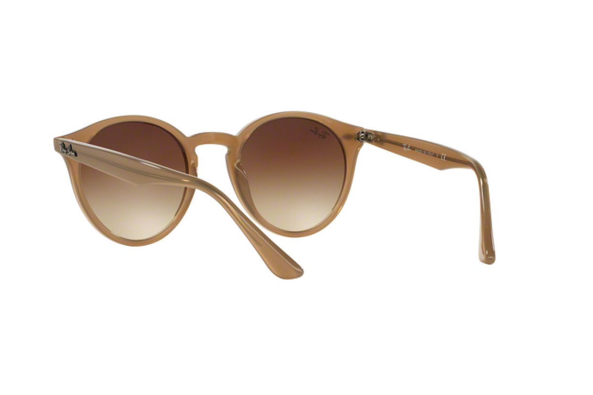 Occhiali da sole Unisex Ray-Ban  RB 2180 616613