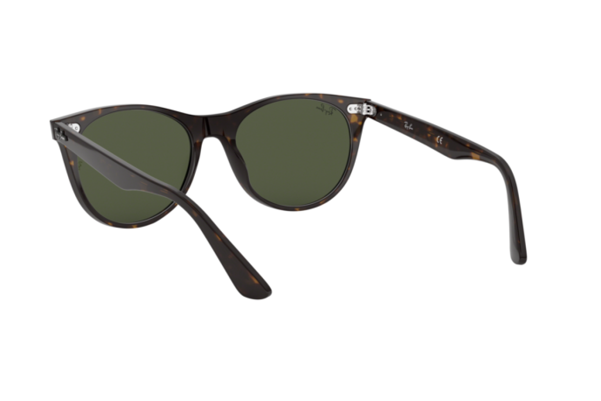 Sunglasses Unisex Ray-Ban Wayfarer II RB 2185 902/31