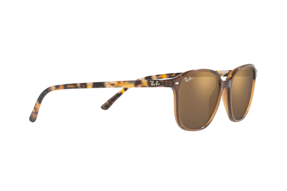 Occhiali da sole Unisex Ray-Ban Leonard RB 2193 663693