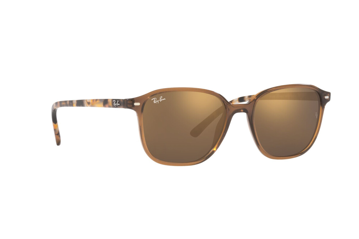 Occhiali da sole Unisex Ray-Ban Leonard RB 2193 663693