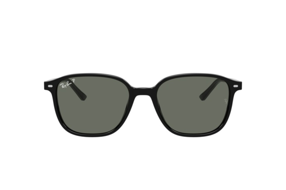 Sunglasses Unisex Ray-Ban Leonard RB 2193 901/58