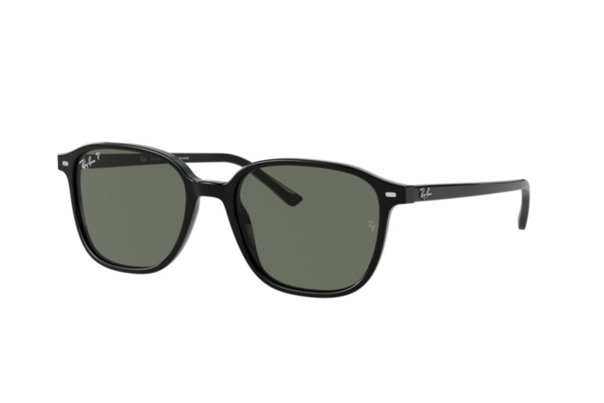 Sunglasses Unisex Ray-Ban Leonard RB 2193 901/58