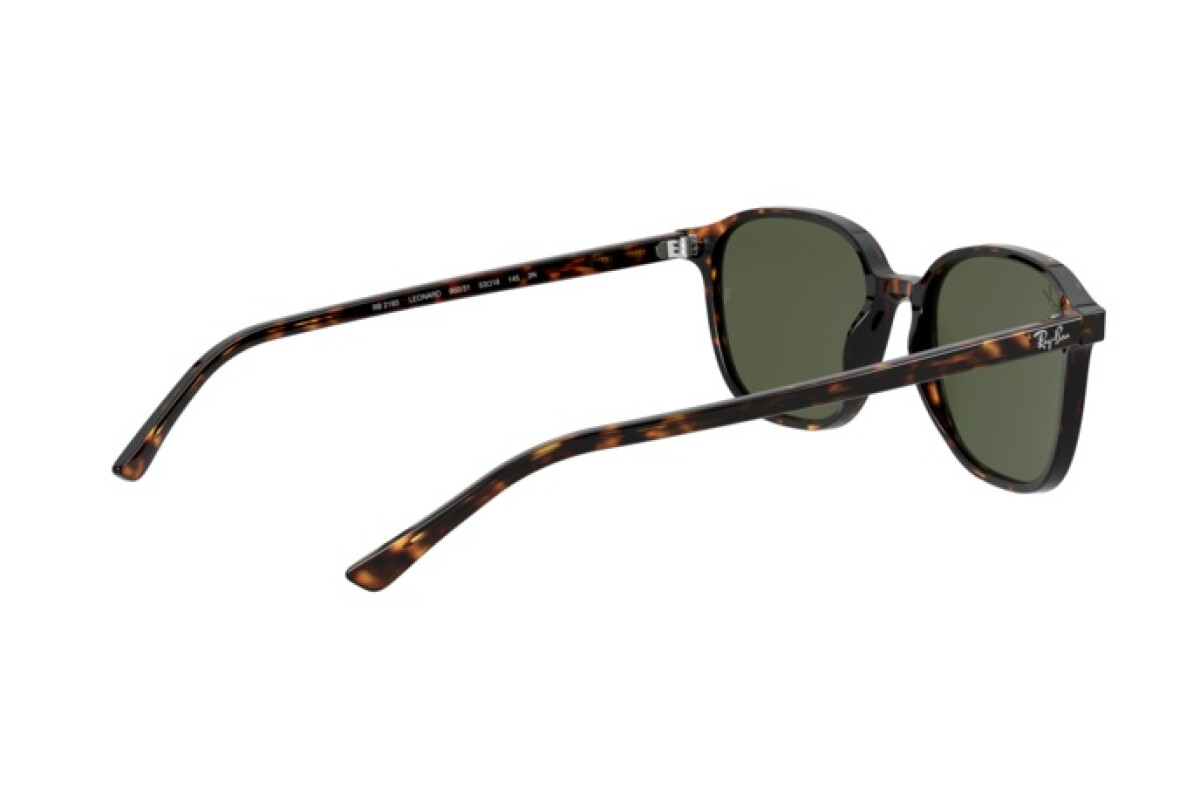 Sunglasses Unisex Ray-Ban Leonard RB 2193 902/31