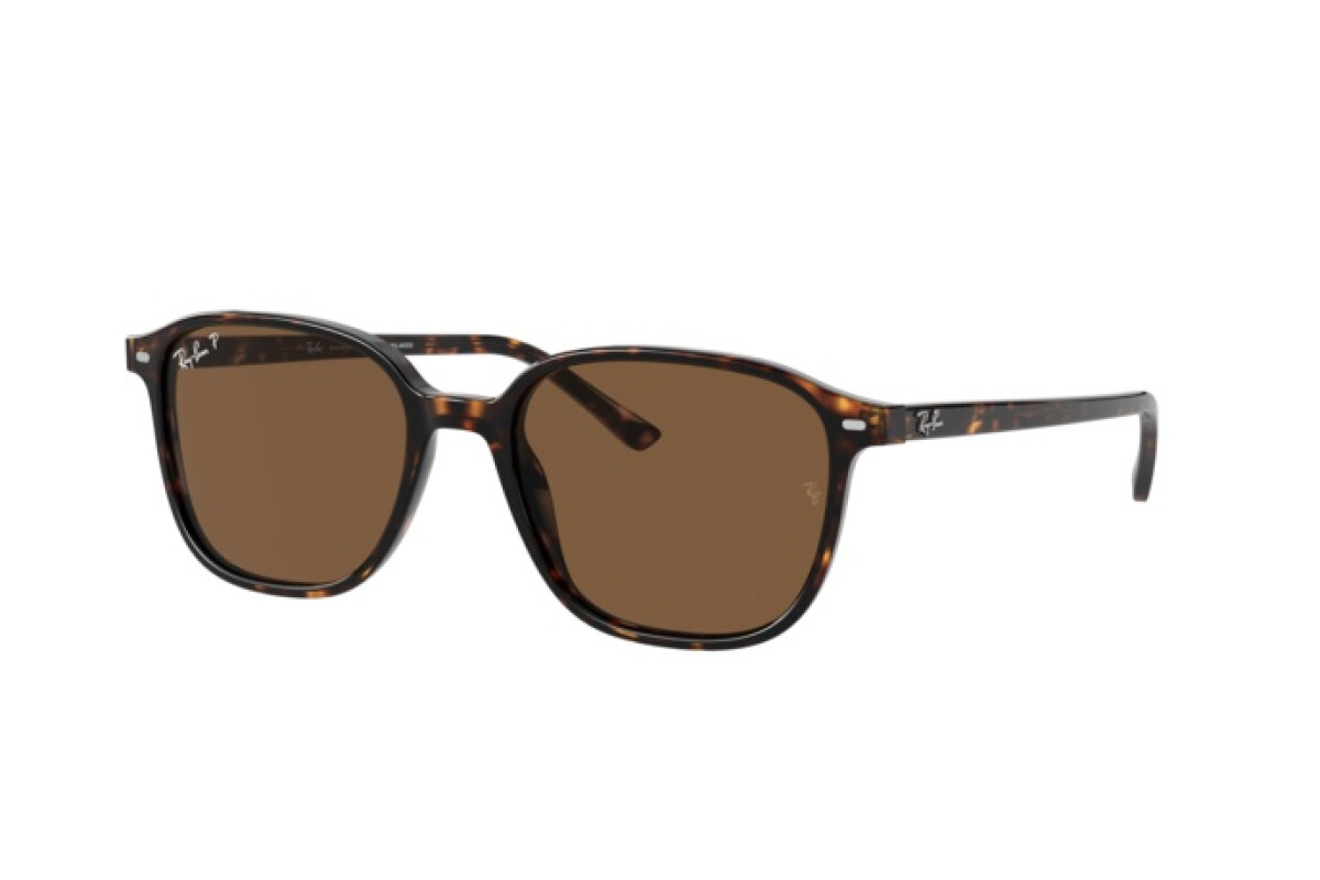 Lunettes de soleil Unisexe Ray-Ban Leonard RB 2193 902/57