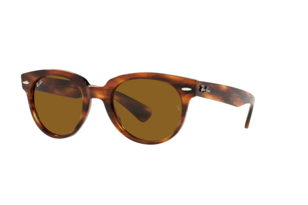 Occhiali da sole Unisex Ray-Ban Orion RB 2199 954/33