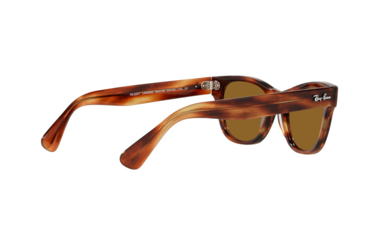 Lunettes de soleil Unisexe Ray-Ban Laramie RB 2201 954/33