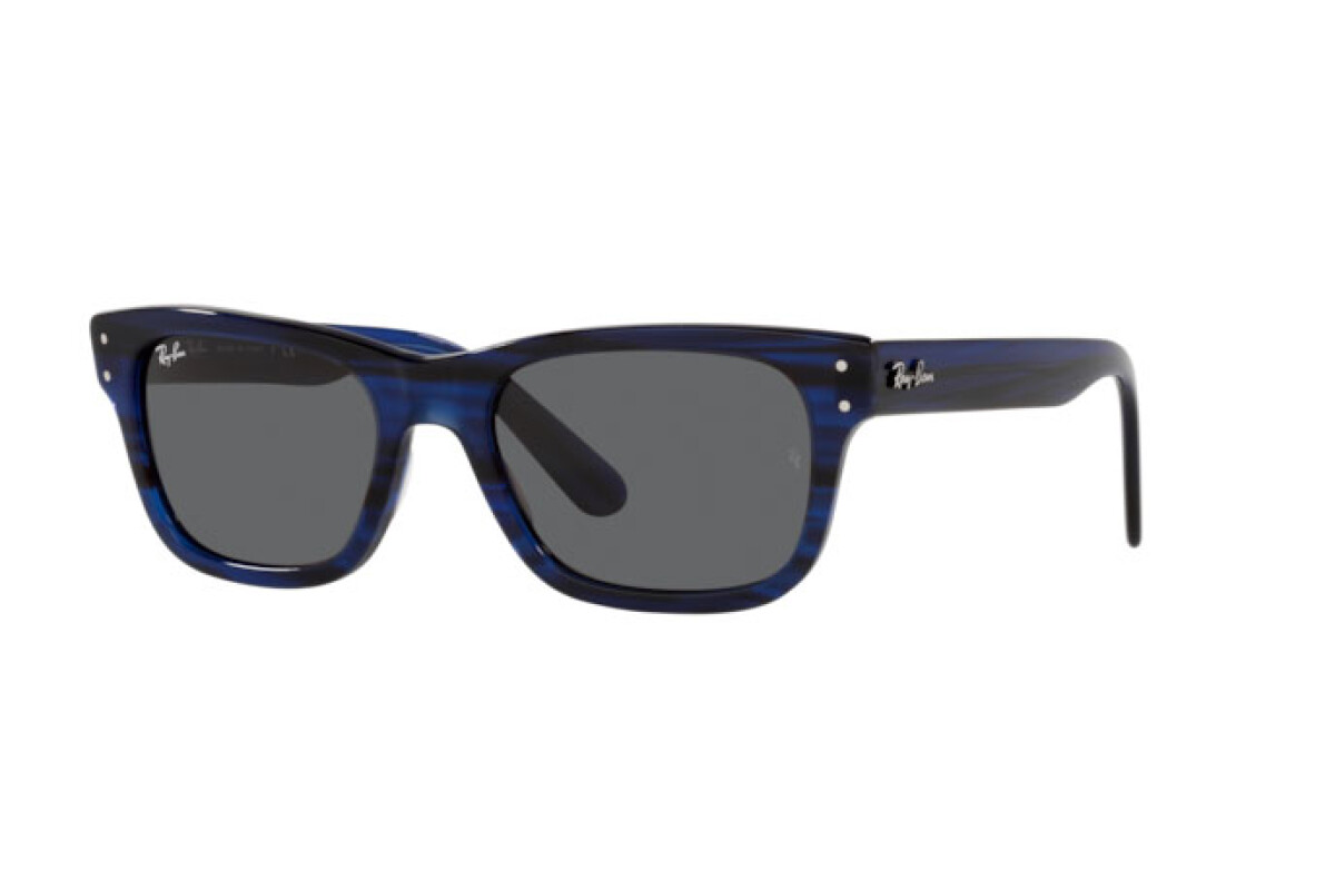 Occhiali da sole Uomo Ray-Ban Mr burbank RB 2283 1339B1