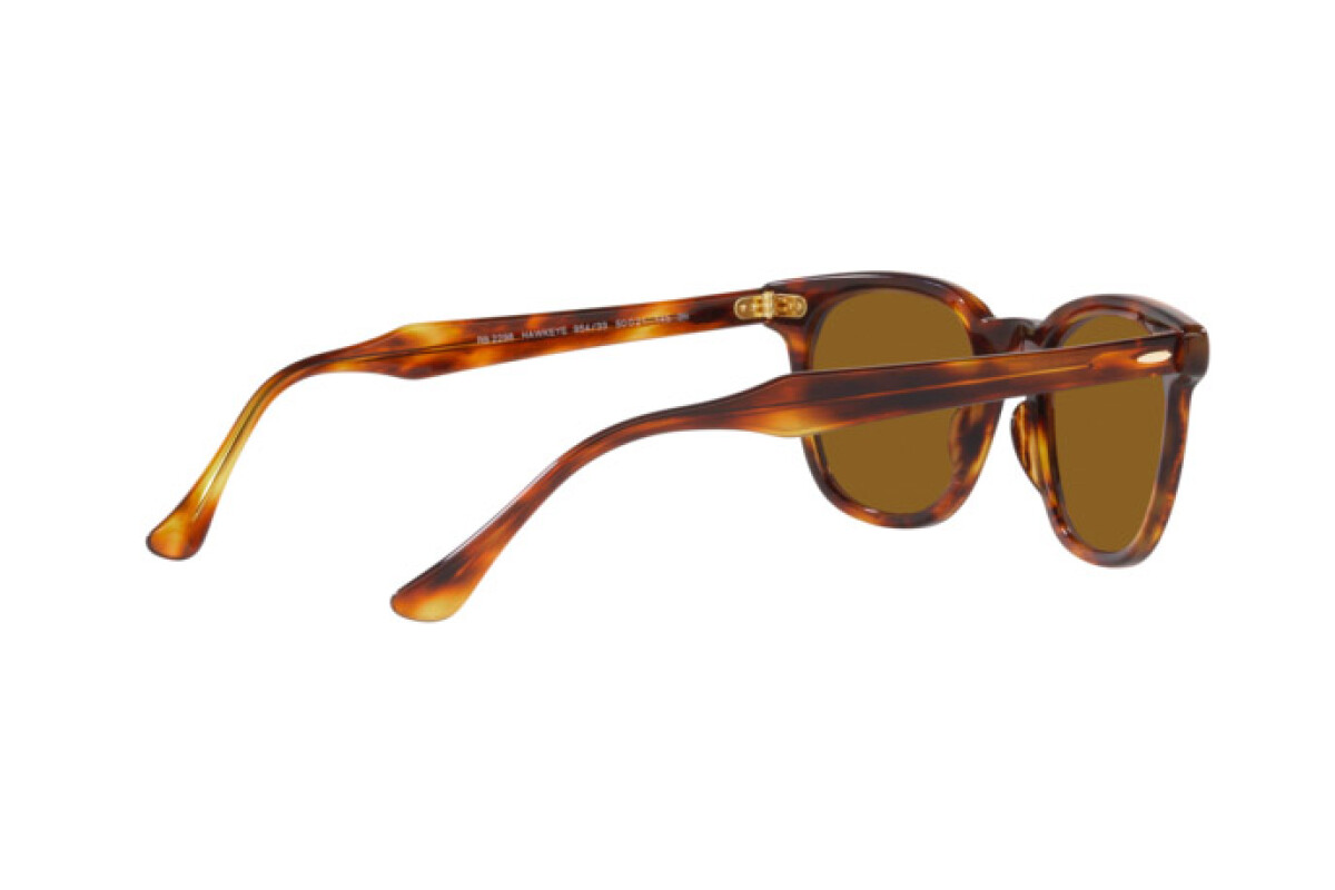 Sunglasses Unisex Ray-Ban Hawkeye RB 2298 954/33