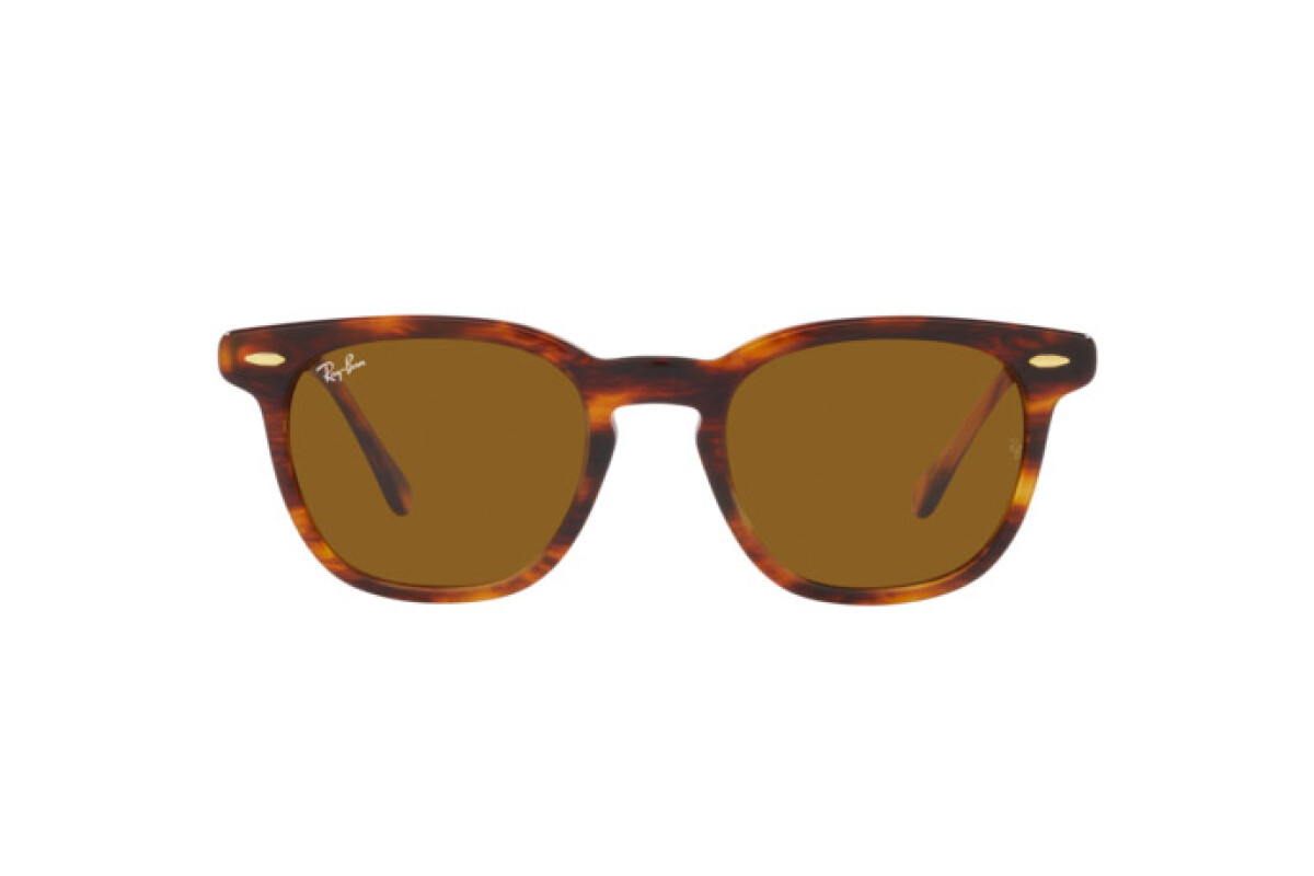 Sunglasses Unisex Ray-Ban Hawkeye RB 2298 954/33