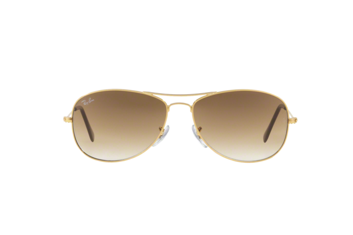 Occhiali da sole Unisex Ray-Ban Cockpit RB 3362 001/51