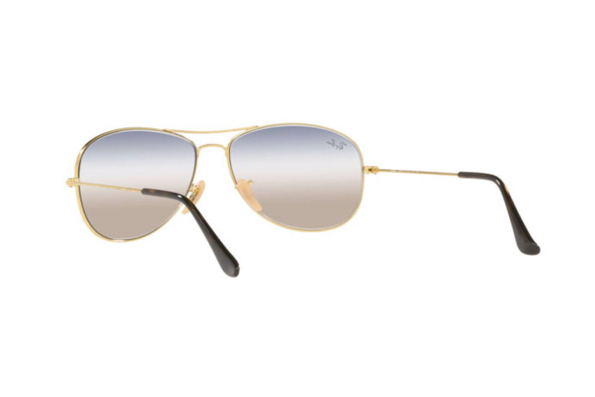 Lunettes de soleil Homme Ray-Ban Cockpit RB 3362 001/GD