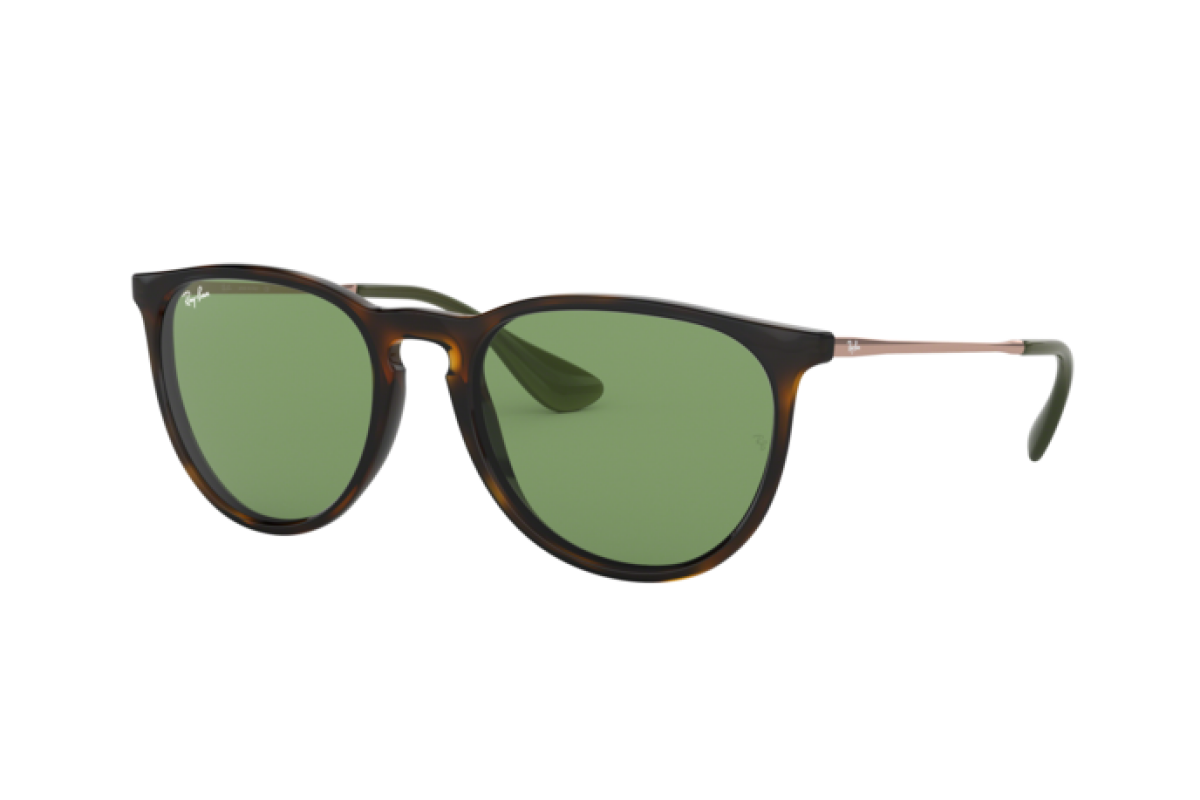 Sunglasses Unisex Ray-Ban Erika RB 4171 6393/2